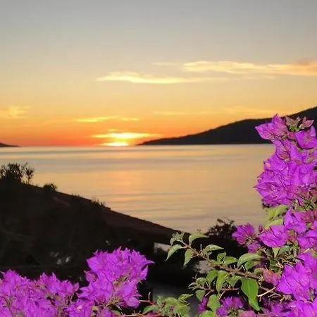 Patara Clup Villa Kalkan