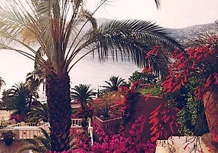 Patara Clup * Kalkan